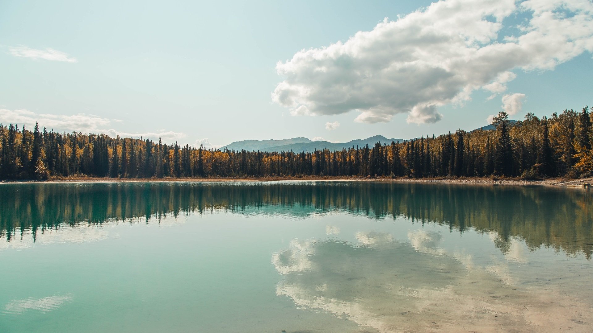 爱游戏官方-OG·阿努诺比在NBA常规赛中展现防守强度，阿努诺比数据