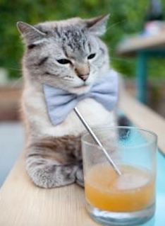 “青少年足球比赛不断创新，融入科技元素”，青少年足球比赛口号